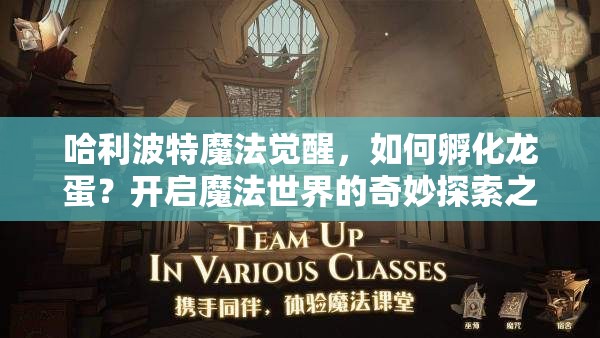 哈利波特魔法觉醒，如何孵化龙蛋？开启魔法世界的奇妙探索之旅？