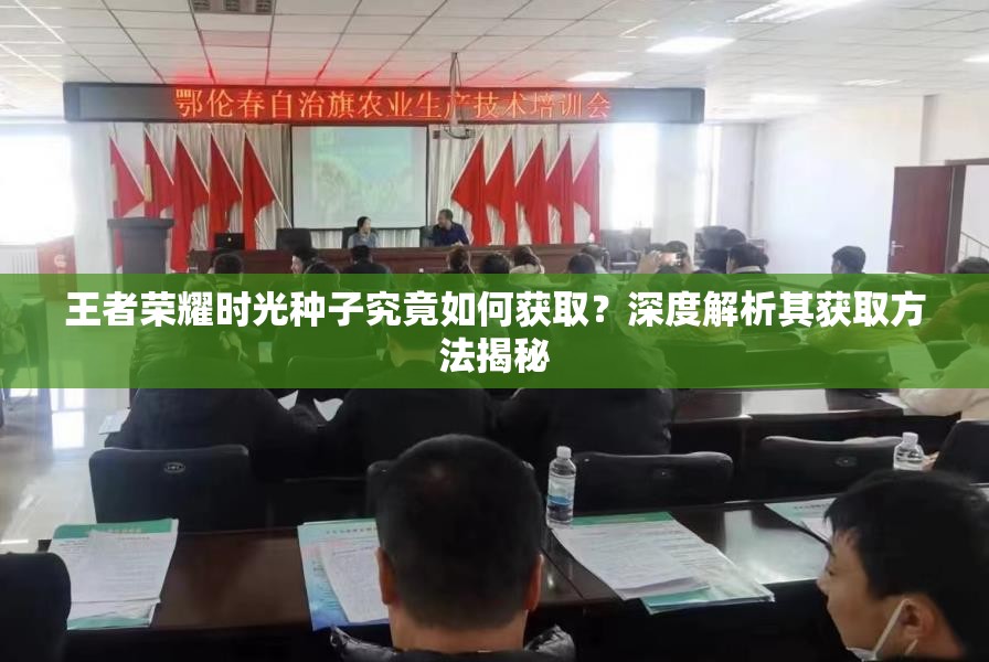 王者荣耀时光种子究竟如何获取？深度解析其获取方法揭秘