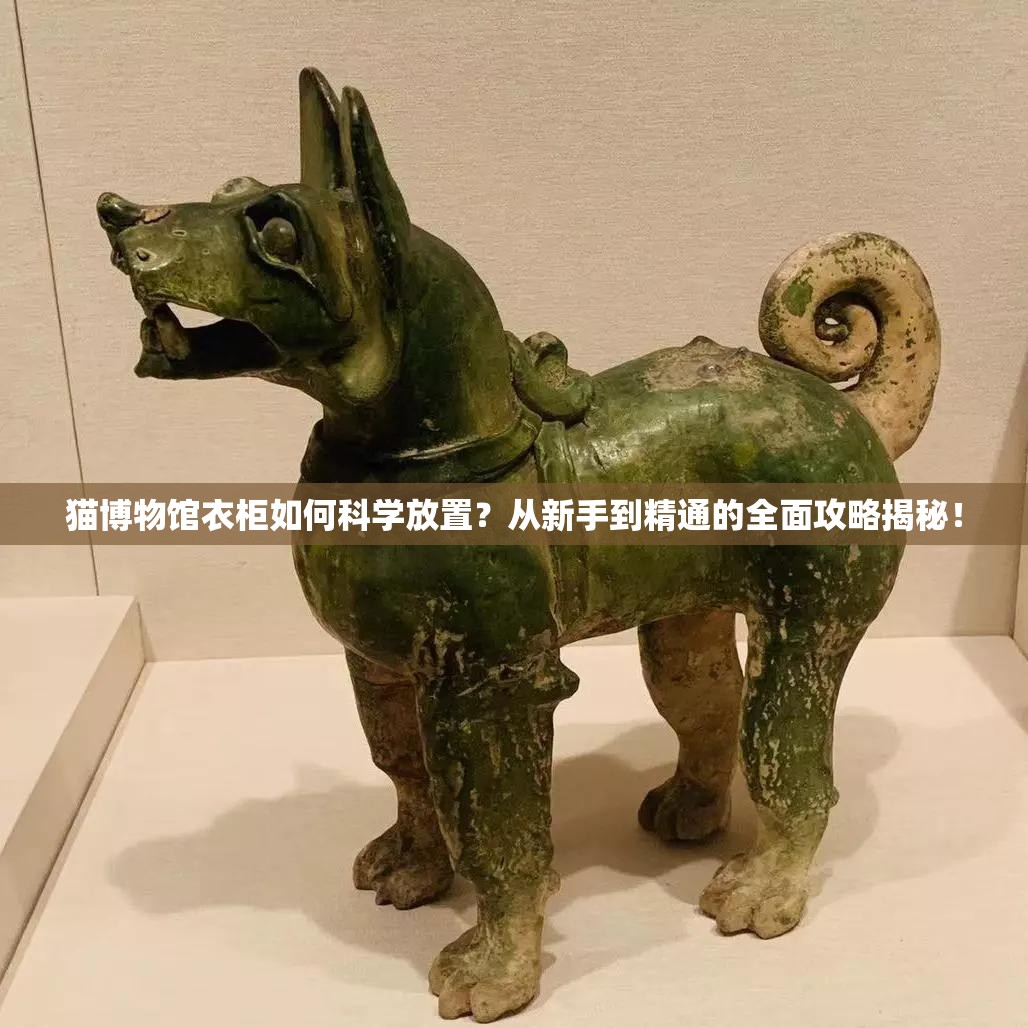猫博物馆衣柜如何科学放置？从新手到精通的全面攻略揭秘！