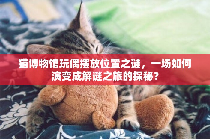 猫博物馆玩偶摆放位置之谜，一场如何演变成解谜之旅的探秘？