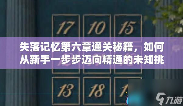 失落记忆第六章通关秘籍，如何从新手一步步迈向精通的未知挑战？