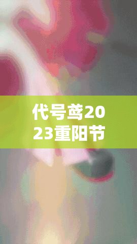 代号鸢2023重阳节兑换码揭秘，最新兑换码演变史全解析，你找到了吗？