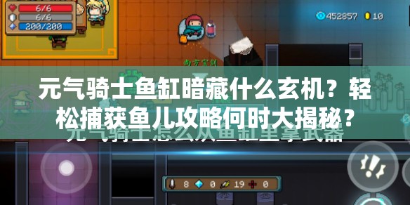 元气骑士鱼缸暗藏什么玄机？轻松捕获鱼儿攻略何时大揭秘？