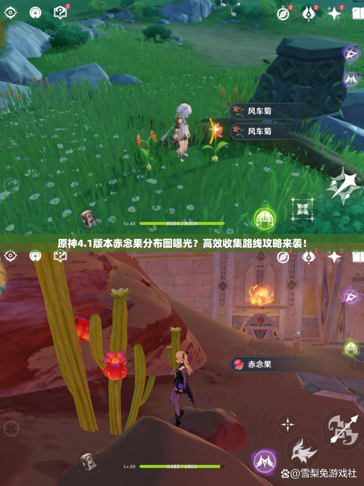 原神4.1版本赤念果分布图曝光？高效收集路线攻略来袭！