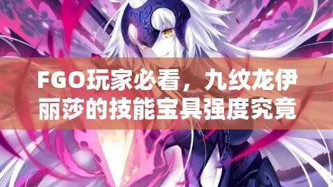 FGO玩家必看，九纹龙伊丽莎的技能宝具强度究竟如何？