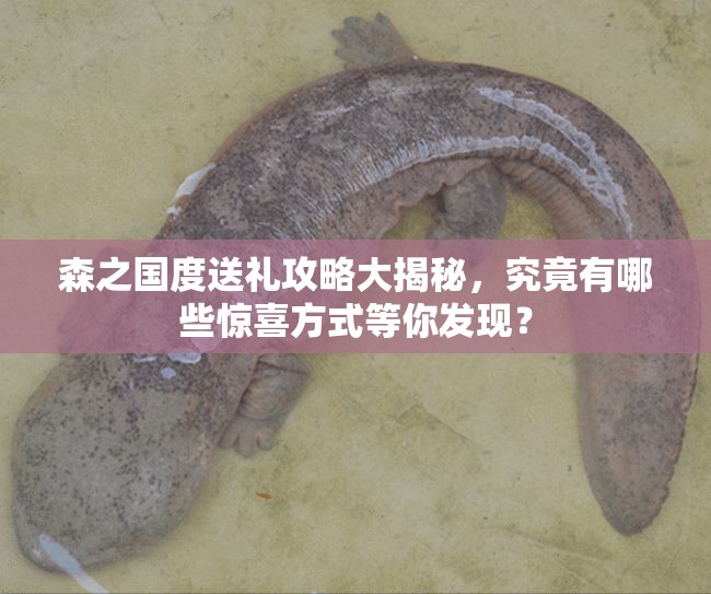 森之国度送礼攻略大揭秘，究竟有哪些惊喜方式等你发现？