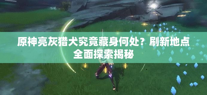 原神亮灰猎犬究竟藏身何处？刷新地点全面探索揭秘