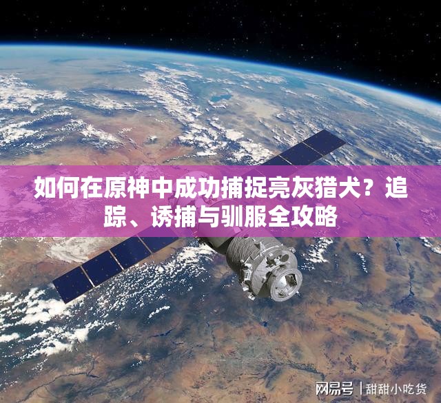 如何在原神中成功捕捉亮灰猎犬？追踪、诱捕与驯服全攻略