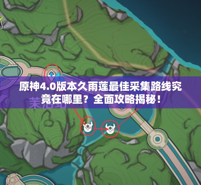 原神4.0版本久雨莲最佳采集路线究竟在哪里？全面攻略揭秘！