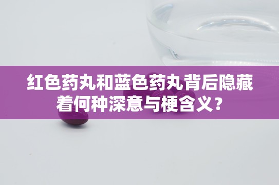 红色药丸和蓝色药丸背后隐藏着何种深意与梗含义？