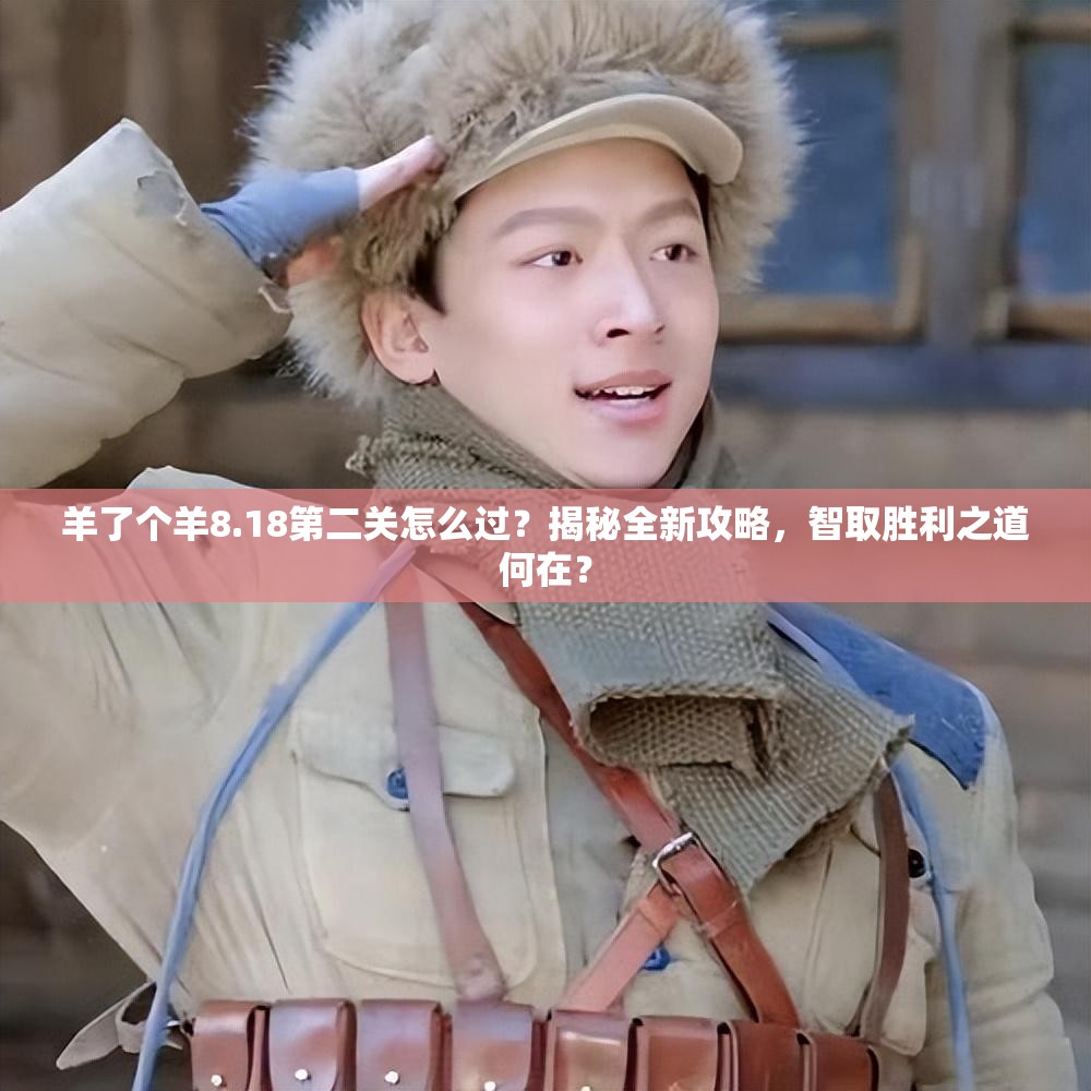 羊了个羊8.18第二关怎么过？揭秘全新攻略，智取胜利之道何在？