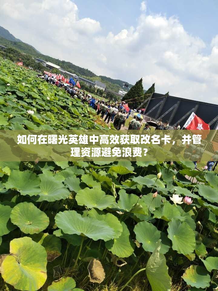 如何在曙光英雄中高效获取改名卡，并管理资源避免浪费？