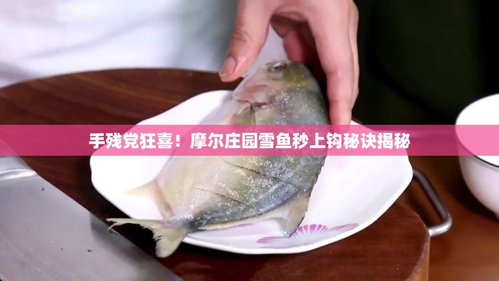 手残党狂喜！摩尔庄园雪鱼秒上钩秘诀揭秘