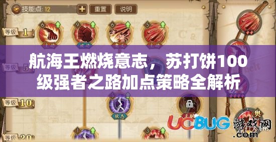 航海王燃烧意志,苏打饼100级强者之路加点策略全解析 航海王燃烧意志,苏打饼100级强者之路加点策略全解析