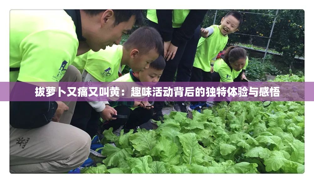 拔萝卜又痛又叫黄:趣味活动背后的独特体验与感悟 拔萝卜又痛又叫黄:趣味活动背后的独特体验与感悟