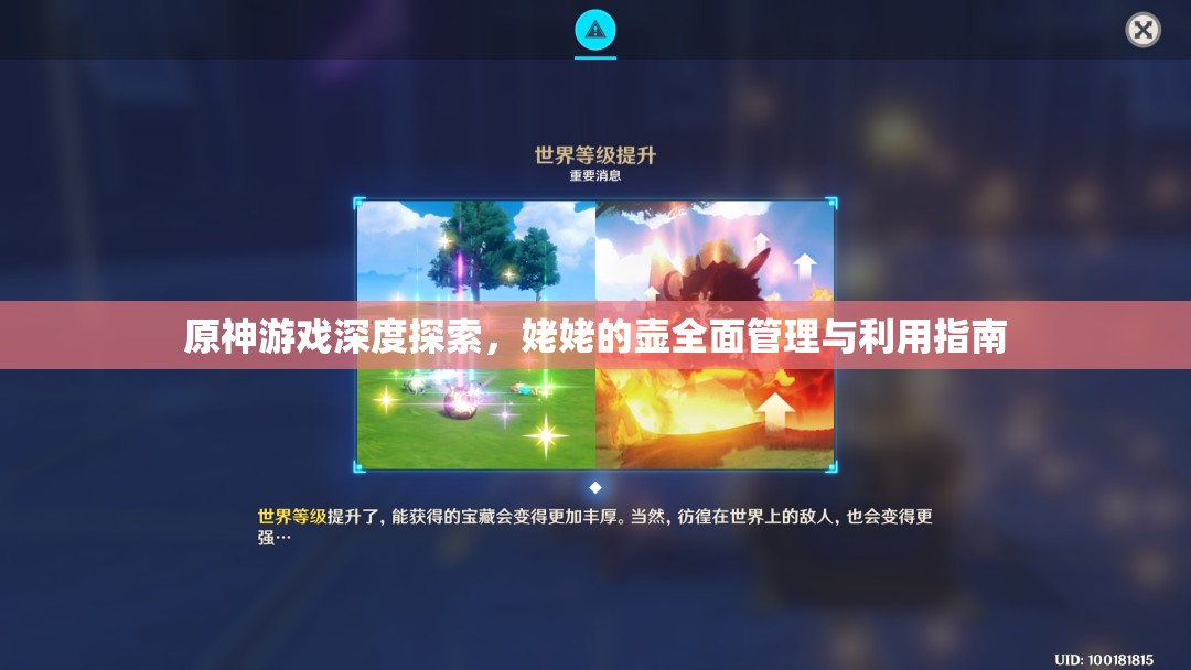 原神游戏深度探索,姥姥的壶全面管理与利用指南 原神游戏深度探索,姥姥的壶全面管理与利用指南